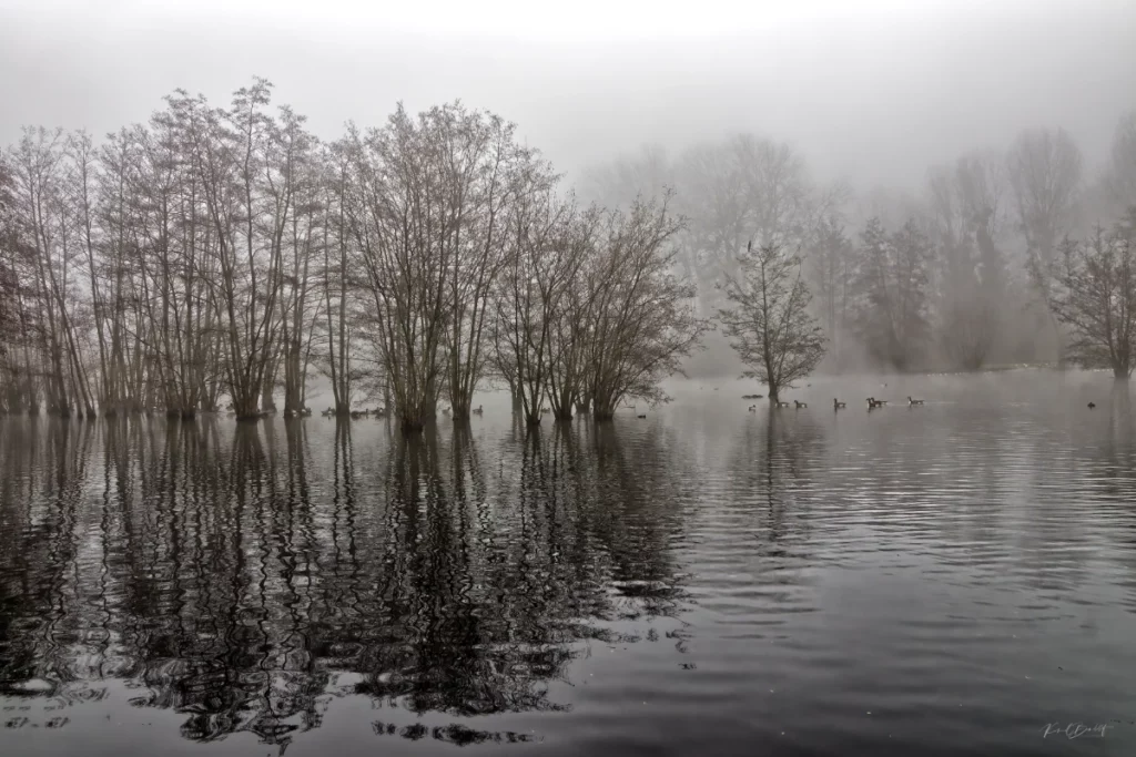 l'Isle Adam - Etang des 3 sources - KBFotoArt l'Isle Adam - Etang des 3 sources