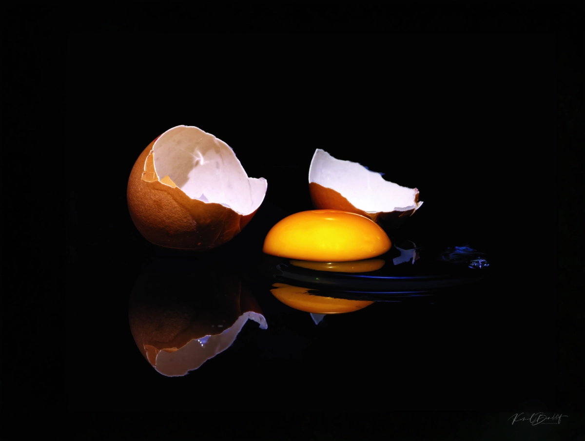 OEUF_9526 - KBFotoArt ©Kamel Benddif L'œuf