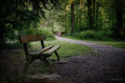 Osny - Le parc de Grouchy