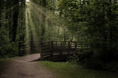 Osny - Le parc de Grouchy