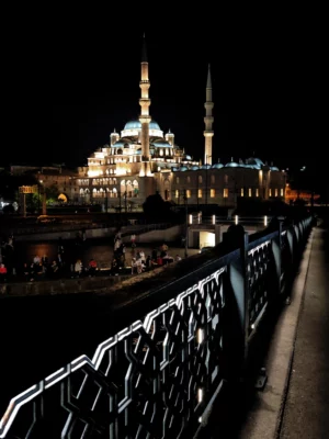 Istanbul - Pont de Galata